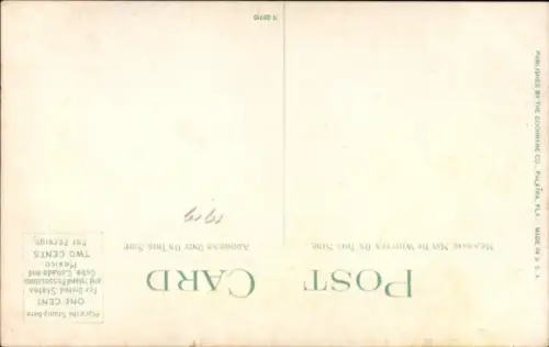 PC Coconut Grove Miami Florida USA, Scene