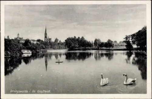 Ak Geringswalde Sachsen, Geringswalde i. Sa. Großteich, zwei Schwäne, ruhige Wasseroberfläche, Bä