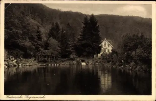 Ak Badenweiler im Schwarzwald, Bergmannsruhe, Wald