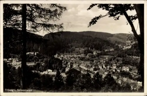Ak Triberg im Schwarzwald, Blick auf Triberg, Schwarzwald, Bäume im Vordergrund, 