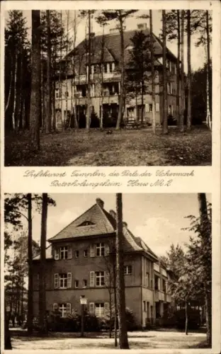 Ak Templin in der Uckermark, Luftkurort  Posterholungsheim, Wald, Bäume