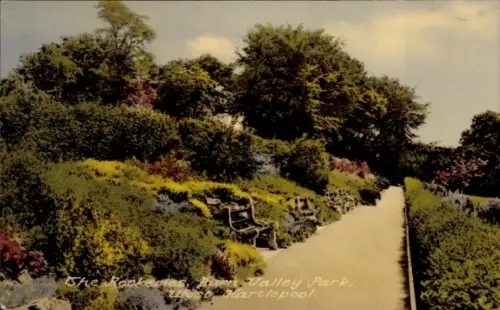 Ak Hartlepool Durham England, Blühende Pflanzen, Weg, Bank, Valley Park, Hartlepool