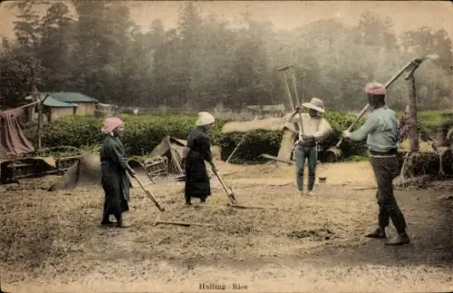 Ak Japan, Reisernte, Feldarbeiter
