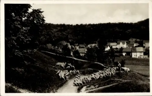 Ak Rastenberg in Thüringen, Schafherde, Weg, Bäume, Häuser, Landschaft