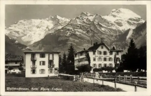 Ak Wolfenschiessen Halbkanton Nidwalden, Hotel Alpina Einhorn