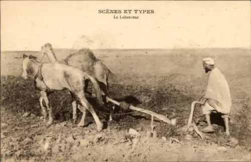 CPA Scenes et Types, Le Laboureur