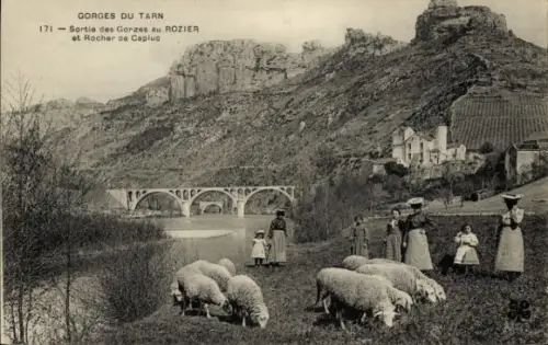 Ak La Málene Tarn, Gorges du Tarn,  Schafe, Frauen in Trachten, Fluss, Felsen