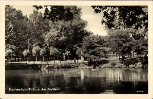 Ak Blankenhain in Thüringen, Am Parkteich