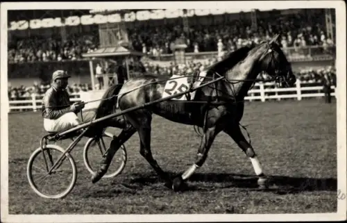 Foto Ak Pferderennen, Jockey, Sulky, Trabrennen