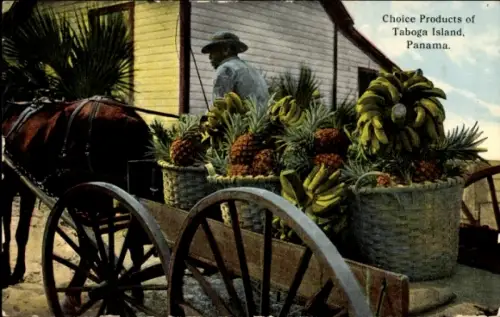 PC Taboga Island Panama, Choice Products