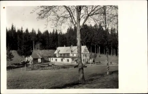 Ak Chemnitz in Sachsen, Jugendherberge Chemnitzer Wanderheim, Fichtenwald, Schwarz-Weiß-Foto
