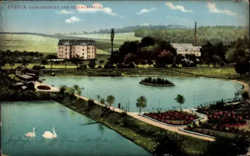 Ak Döbeln in Sachsen,  Bürgergarten, Rosenanlagen, Teich, Schwäne, Blumenbeete