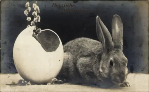 Foto Ak Osterhase mit Osterei, Weidenkätzchen, Herzliche Ostergrüße