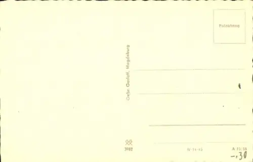 Ak Katze, Tierportrait