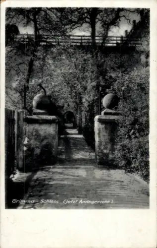 Ak Grimma in Sachsen, Grimma-Schloss, jetzt Amtsgericht, Weg mit Bäumen und Kugeln