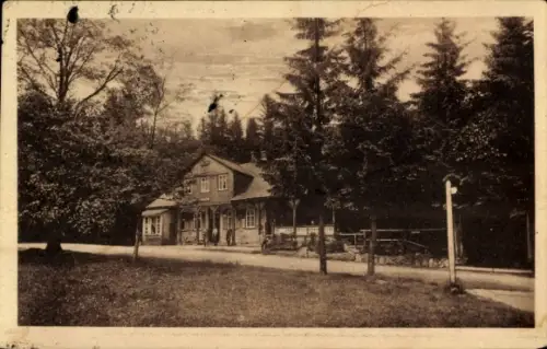 Ak Friedrichroda im Thüringer Wald, Heubergshaus,  Thüringer Wald, Bäume, Straße