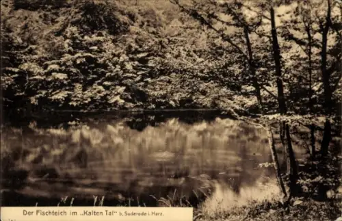 Ak Bad Suderode Quedlinburg im Harz, Fischteich, Kaltes Tal,  Harz, Schwarz-Weiß-Foto