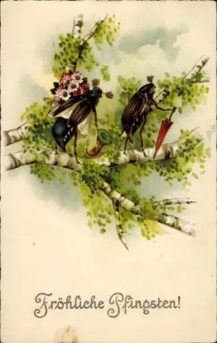Litho Frohe Pfingsten, Vermenschlichte Maikäfer, Birke