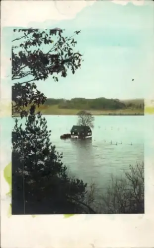 Ak Grimma in Sachsen, Hochwasser, überflutetes Haus, Wasserlandschaft, Bäume