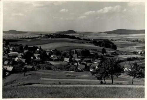 Ak Steina in Sachsen, Dorfansicht, Landschaft, Bäume, Häuser, hügelige Umgebung