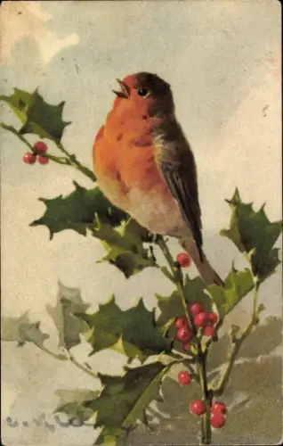 Künstler Ak Klein, Catharina, Rotkehlchen auf einem Stechpalmenzweig