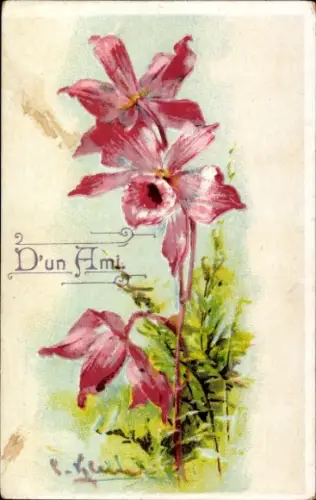 Künstler Ak Klein, Catharina, Orchideen