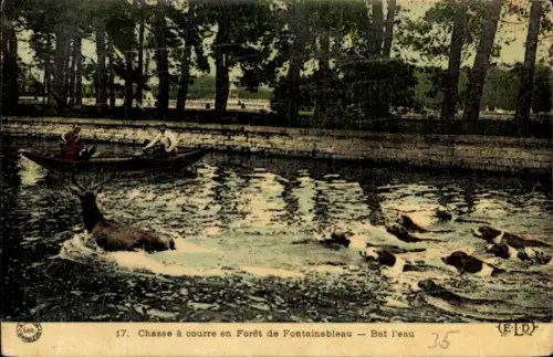 CPA Chasse a courre en Foret de Fontainebleau, Bat l'eau