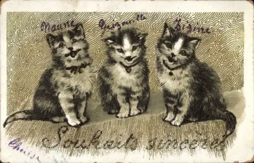 Ak Singende junge Katzen