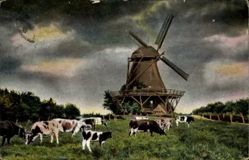 Ak Landschaft mit Rinderherde und Windmühle