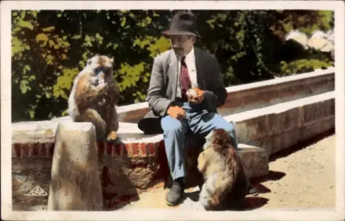 CPA Blida Algérie, Les Gorges de la Chiffa, Hôtel du Ruisseau des Singes, Affen