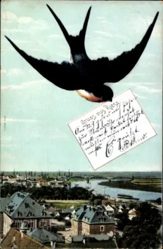 Ak Riesa an der Elbe Sachsen, Blick auf den Ort, Schwalbe