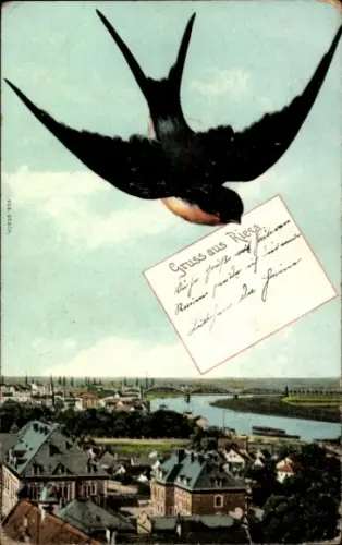 Ak Riesa an der Elbe Sachsen, Blick auf den Ort, Schwalbe