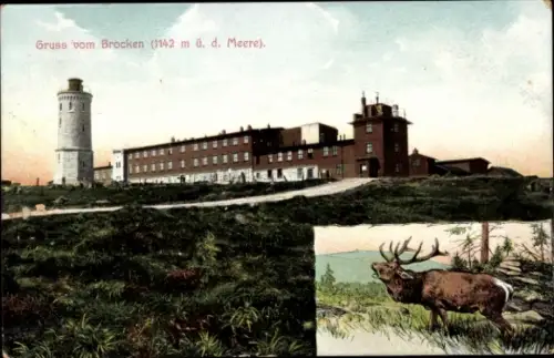 Ak Brocken im Harz,  vom  Berg, Hotel, Hirsch