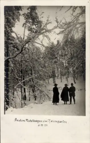Foto Ak Rosengarten in Niedersachsen, in den Fistelbergen, Waldweg im Winter, Spaziergänger