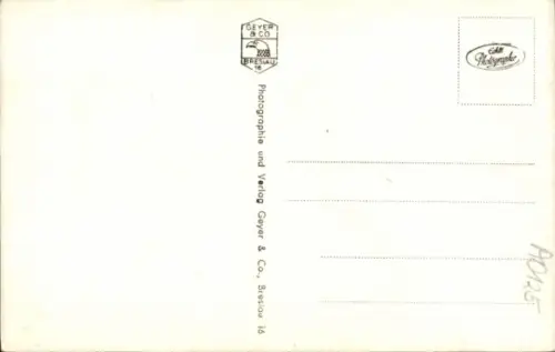 Ak Neustadt in Holstein, Segelboot im Hafen, Mehrere Boote, Kran im Hintergrund, Wasser, Wolken