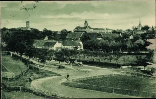 Ak Droyßig im Burgenlandkreis, Stadtpanorama, Straßenpartie