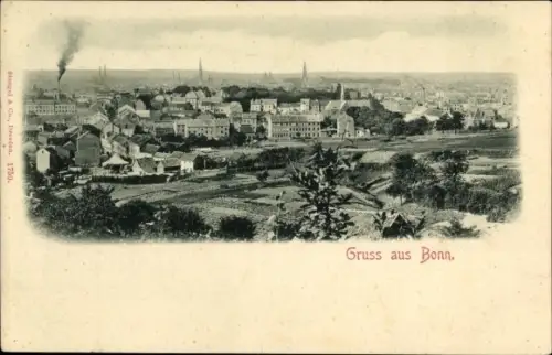 Ak Bonn am Rhein, Gesamtansicht