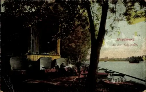 Ak Magdeburg an der Elbe, Salzquelle