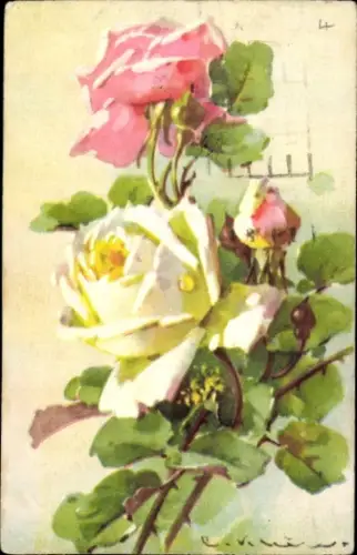 Künstler Ak Klein, C., Blühende Rosen