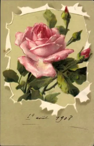 Künstler Litho Klein, C., Rosa Rose