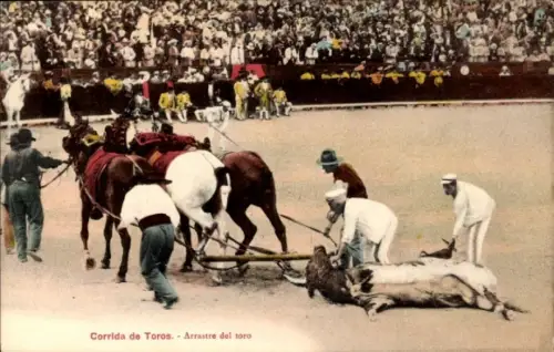 Ak Corrida de Toros, Arrastre del toro