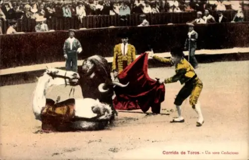 Ak Stierkampf, Un toro Codicioso