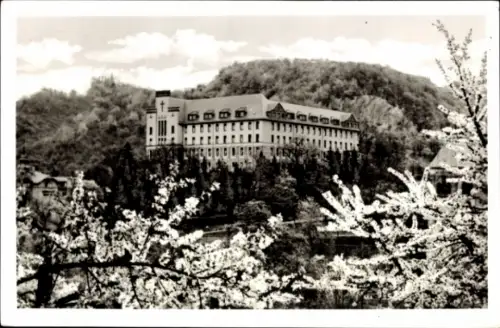 Ak Vallendar am Rhein, Vallendar Pallotti Haus