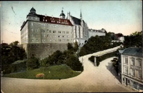 Ak Altenburg in Thüringen, Schloss
