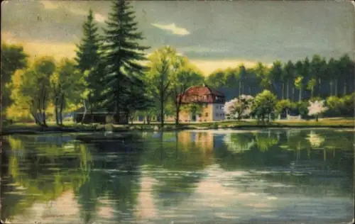 Künstler Ak Eisenhammer Tornau Gräfenhainichen im Kreis Wittenberg, Dübener Heide, Villa am Wasser