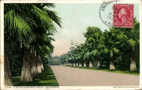 PC California USA, A Palm Bordered Drive