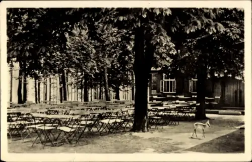 Ak Demitz-Thumitz, Klosterberg, Bergwirtschaft