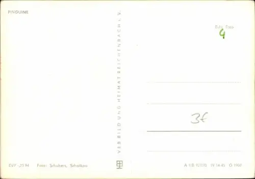 Ak Drei Pinguine im Zoo