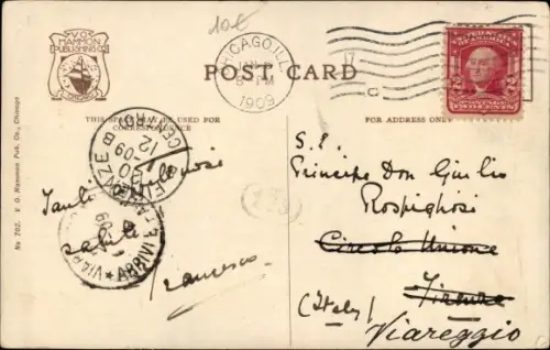 Ak Chicago Illinois USA, Bär auf einem Baum im Gehege, Zoo