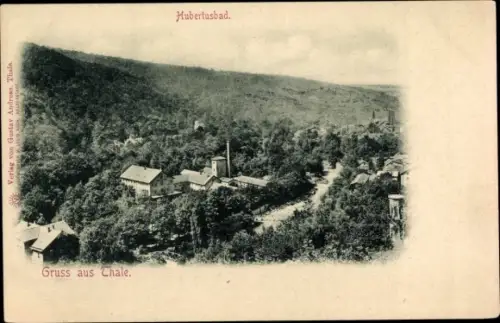 Ak Thale im Harz, Hubertusbad, Vogelperspektive